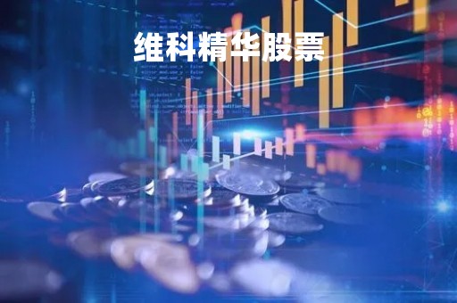 维科精华股票「维科精华东方财富」
