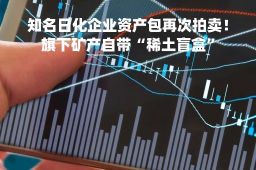 知名日化企业资产包再次拍卖！旗下矿产自带“稀土盲盒”