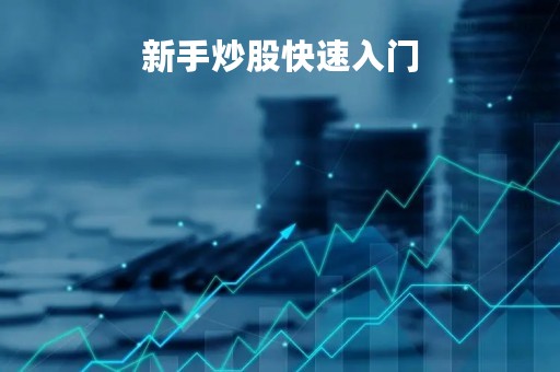 新手炒股快速入门「新手炒股快速入门与操盘技法 百度网盘」