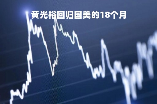 黄光裕回归国美的18个月「黄光裕归来后的国美」