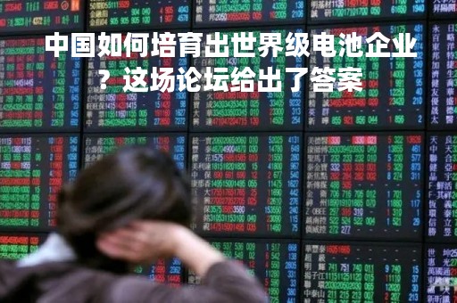 中国如何培育出世界级电池企业？这场论坛给出了答案