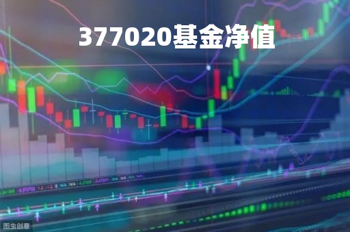 377020基金净值「377010基金净值」