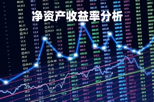 净资产收益率分析「净资产收益率举例计算」