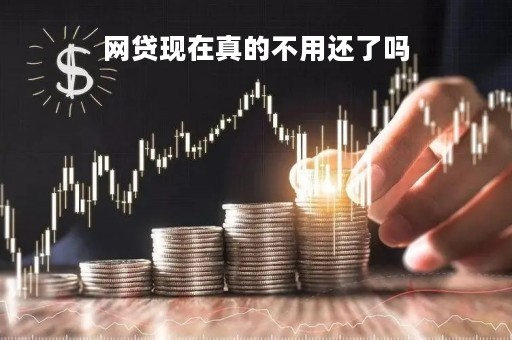 网贷现在真的不用还了吗「听说网贷不用还是真的吗」