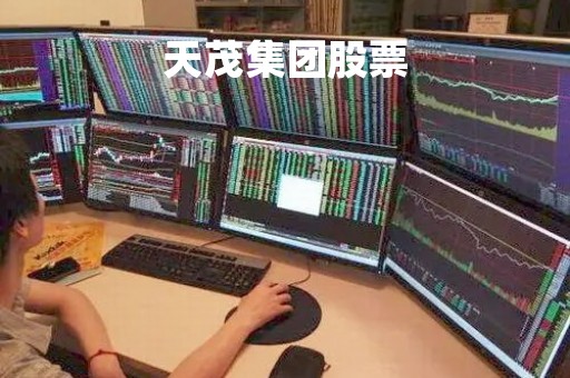 天茂集团股票「天茂集团股票走势图」