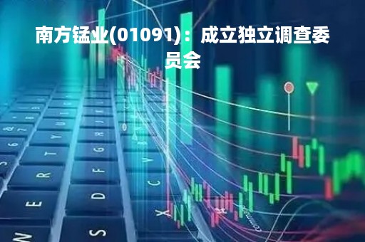南方锰业(01091)：成立独立调查委员会