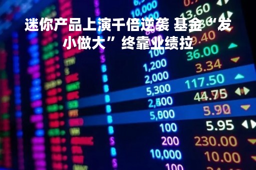 迷你产品上演千倍逆袭 基金“发小做大”终靠业绩拉