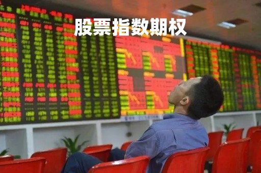 股票指数期权「股票指数期权是以 作为合约的标的物」