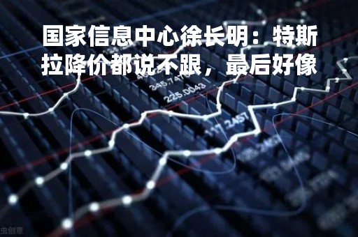 国家信息中心徐长明：特斯拉降价都说不跟，最后好像全跟进了，这是没办法的事