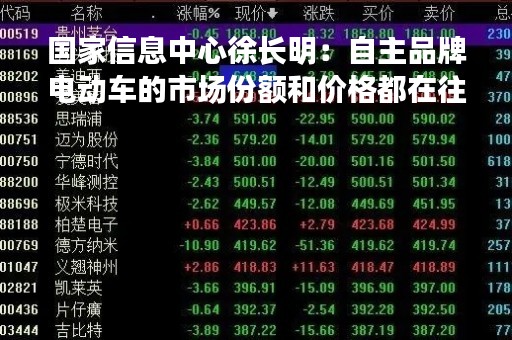 国家信息中心徐长明：自主品牌电动车的市场份额和价格都在往上走
