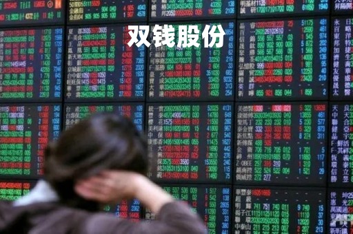 双钱股份「双钱股份股票代码」