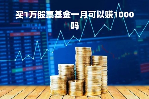 买1万股票基金一月可以赚1000吗