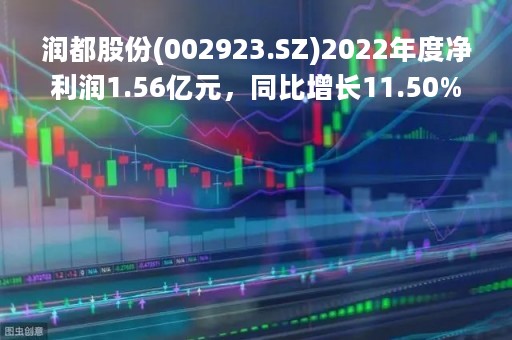 润都股份(002923.SZ)2022年度净利润1.56亿元，同比增长11.50%