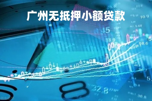 广州无抵押小额贷款「广州小额贷款有限公司官网」