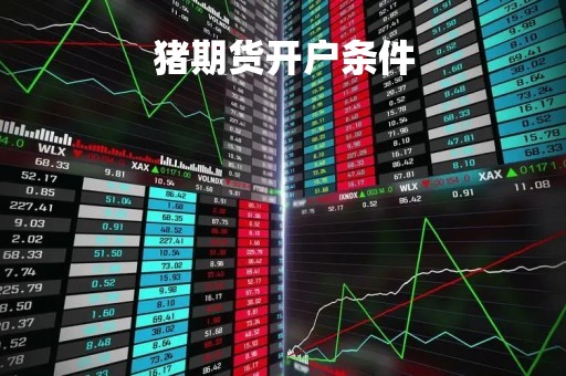 猪期货开户条件
