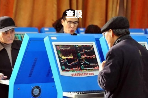 查股「查股东信息是什么网」