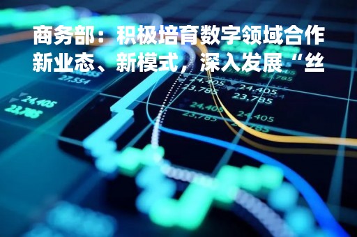 商务部：积极培育数字领域合作新业态、新模式，深入发展“丝路电商”