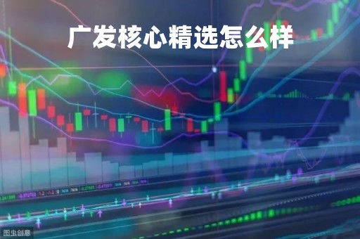 广发核心精选怎么样「广发核心精选股票基金」