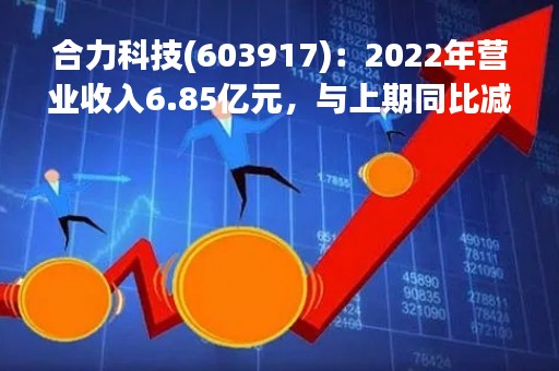 合力科技(603917)：2022年营业收入6.85亿元，与上期同比减少2.65%