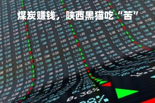 煤炭赚钱，陕西黑猫吃“苦”