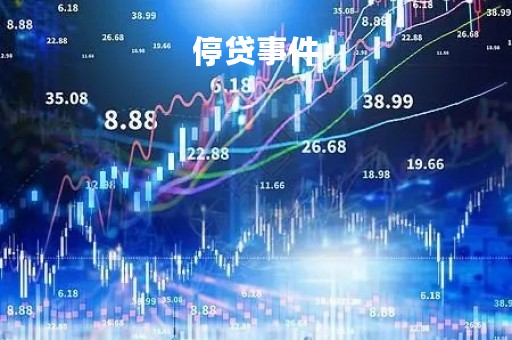 停贷事件「停贷事件官方回应」