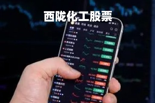 西陇化工股票「西陇化工股票股吧」