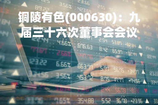 铜陵有色(000630)：九届三十六次董事会会议决议，审议《公司关于聘任董事会秘书的议案》