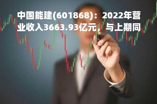 中国能建(601868)：2022年营业收入3663.93亿元，与上期同比增加13.67%