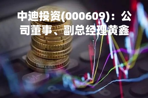 中迪投资(000609)：公司董事、副总经理黄鑫先生辞职