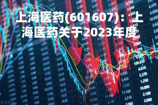上海医药(601607)：上海医药关于2023年度担保计划的公告