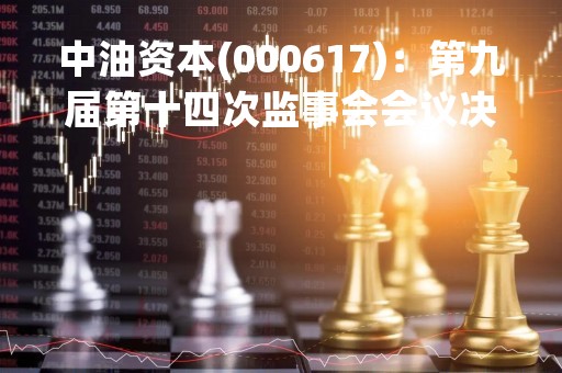 中油资本(000617)：第九届第十四次监事会会议决议，审议2022年度监事会工作报告等多项议案