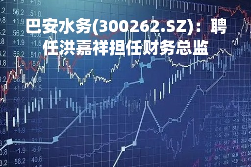 巴安水务(300262.SZ)：聘任洪嘉祥担任财务总监
