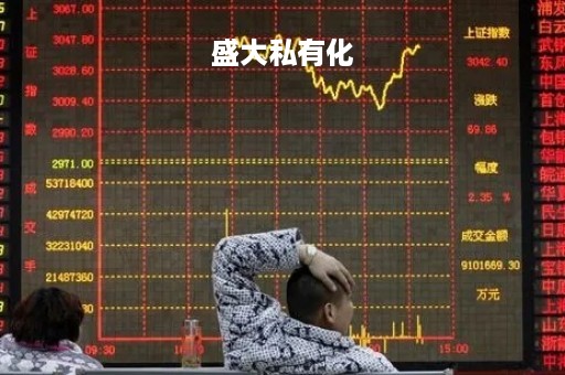 盛大私有化「盛大私有化背后的商誉案」