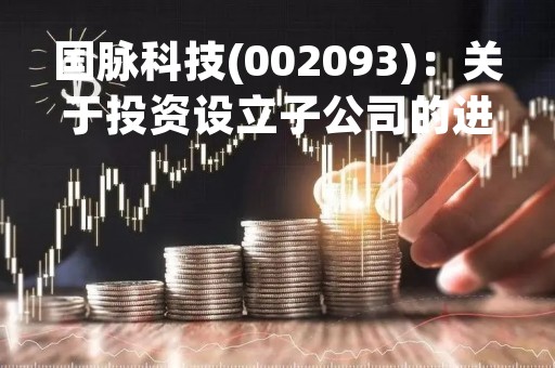 国脉科技(002093)：关于投资设立子公司的进展公告