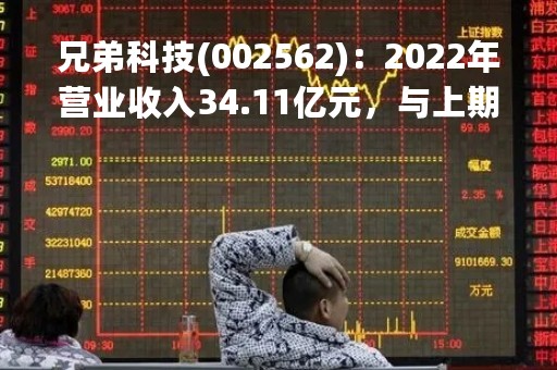 兄弟科技(002562)：2022年营业收入34.11亿元，与上期同比增加24.82%