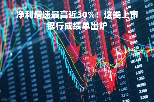 净利增速最高近30%！这类上市银行成绩单出炉