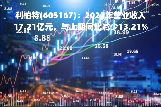 利柏特(605167)：2022年营业收入17.21亿元，与上期同比减少13.21%