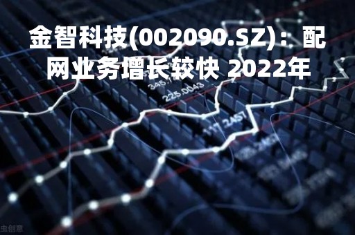 金智科技(002090.SZ)：配网业务增长较快 2022年半年度收入较2021年半年度增长超过70%