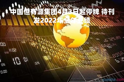 中国恒有源集团4月3日起停牌 待刊发2022年全年业绩