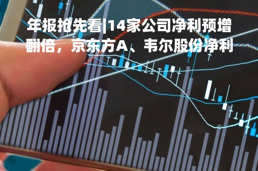 年报抢先看|14家公司净利预增翻倍，京东方A、韦尔股份净利预减超70%