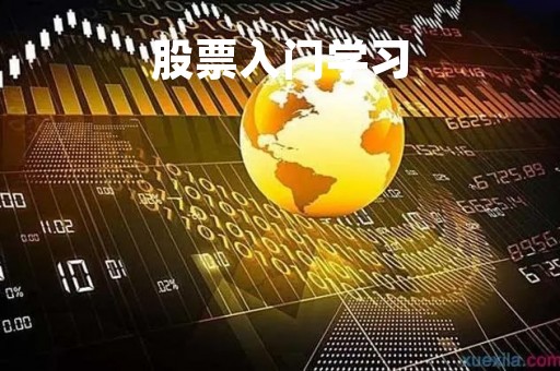 股票入门学习「股票入门基础课程」