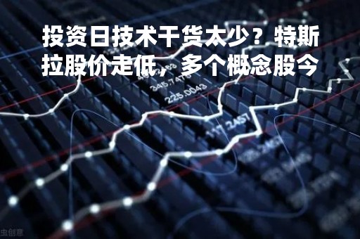投资日技术干货太少？特斯拉股价走低，多个概念股今日被殃及