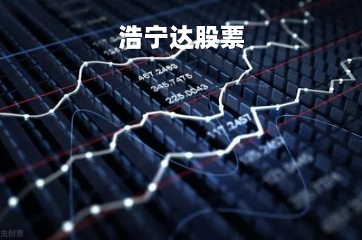 浩宁达股票「浩宁达股票改名」