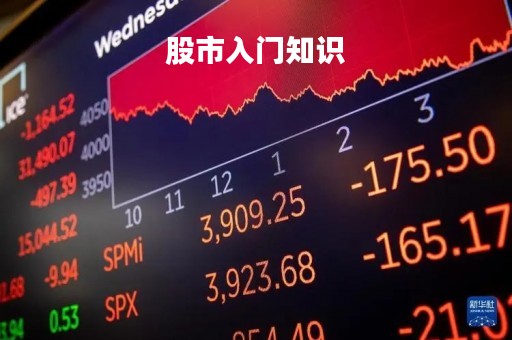 股市入门知识「股票入门知识新手必看」