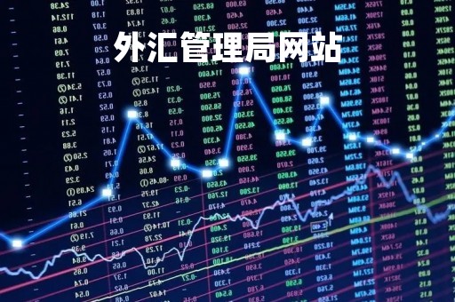外汇管理局网站「外汇管理局网站官网」
