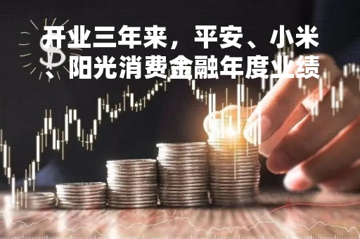 开业三年来，平安、小米、阳光消费金融年度业绩表现如何