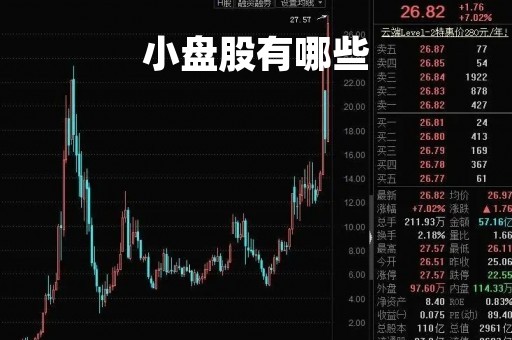 小盘股有哪些「小盘股有哪些优质基金」