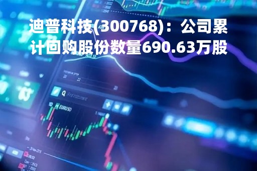 迪普科技(300768)：公司累计回购股份数量690.63万股，已支付资金总额约1亿元
