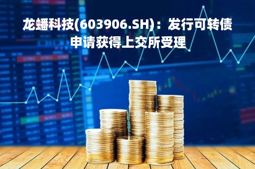 龙蟠科技(603906.SH)：发行可转债申请获得上交所受理