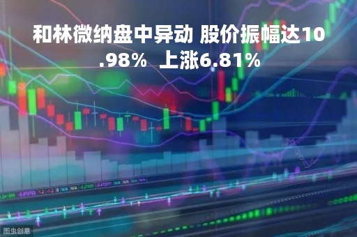 和林微纳盘中异动 股价振幅达10.98%  上涨6.81%